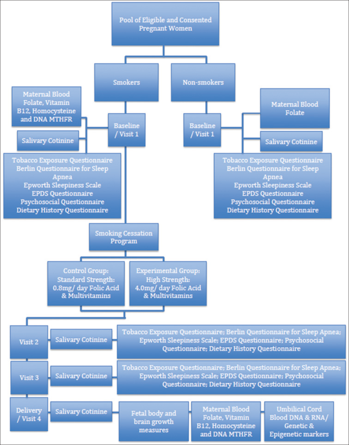 RCT CONSORT Flow Diagram